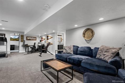 2006 Chelsea Court Highlands Ranch CO 80126