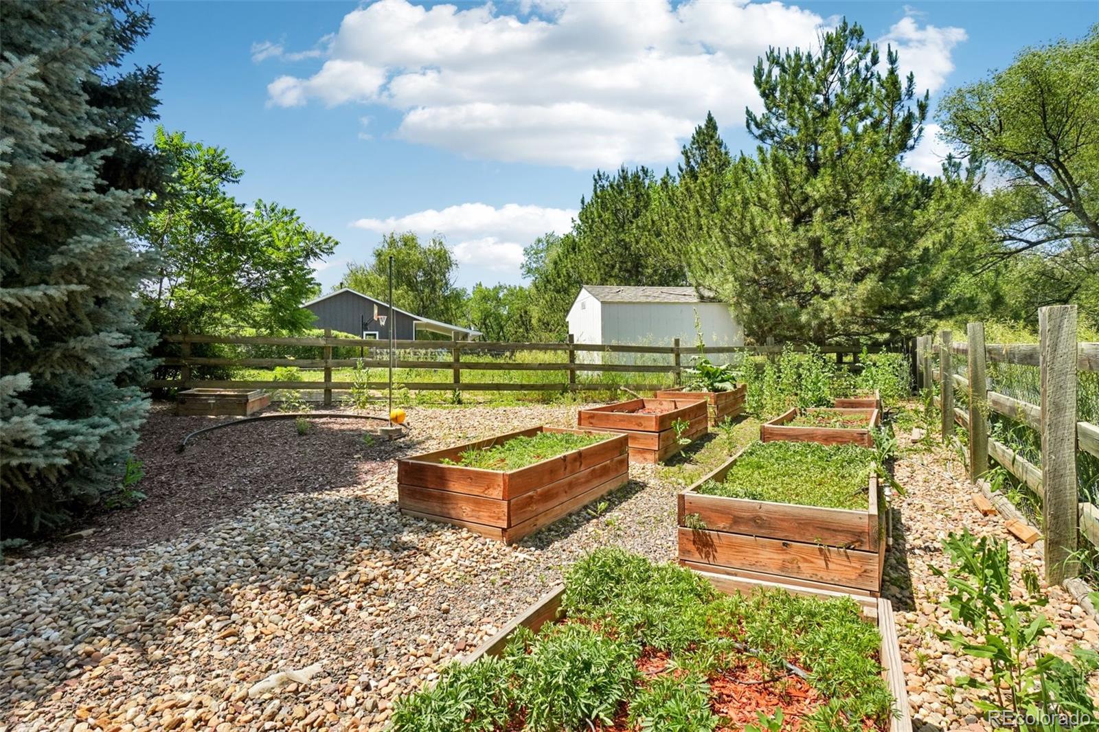 7999 Centrebridge Drive Niwot CO 80503