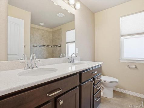 4503 Waltham Drive Windsor CO 80550