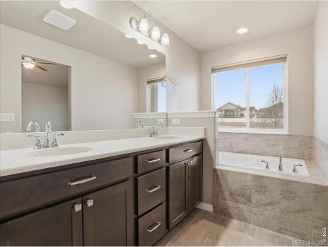 4503 Waltham Drive Windsor CO 80550