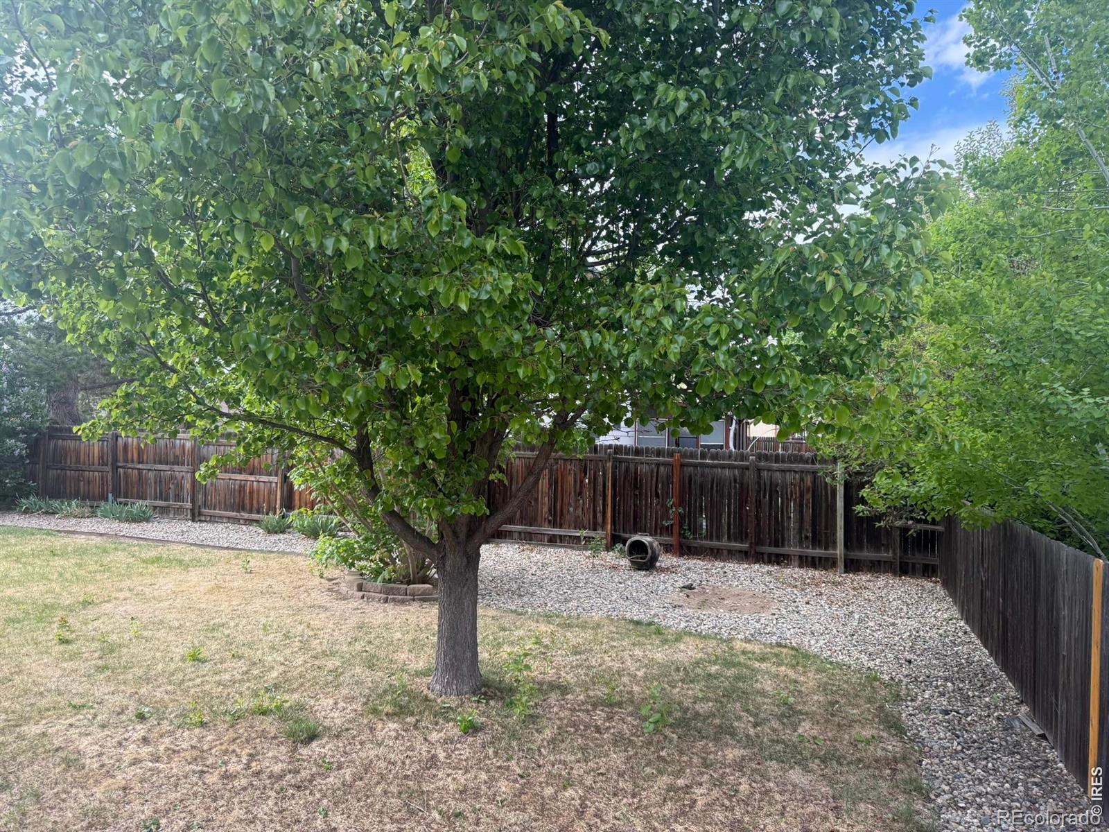 1044 Blue Spruce Drive Loveland CO 80538