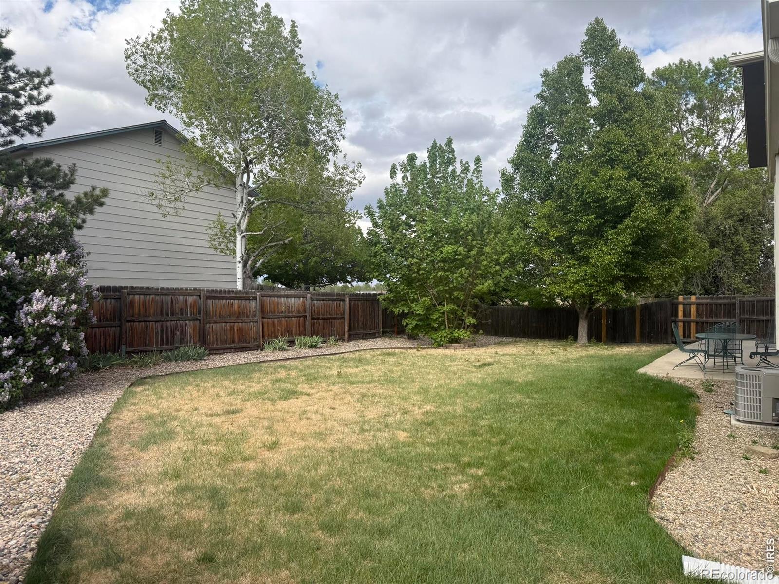 1044 Blue Spruce Drive Loveland CO 80538