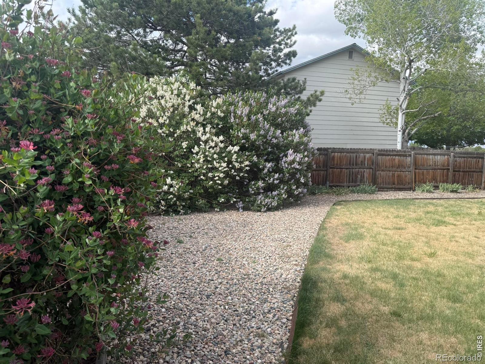 1044 Blue Spruce Drive Loveland CO 80538