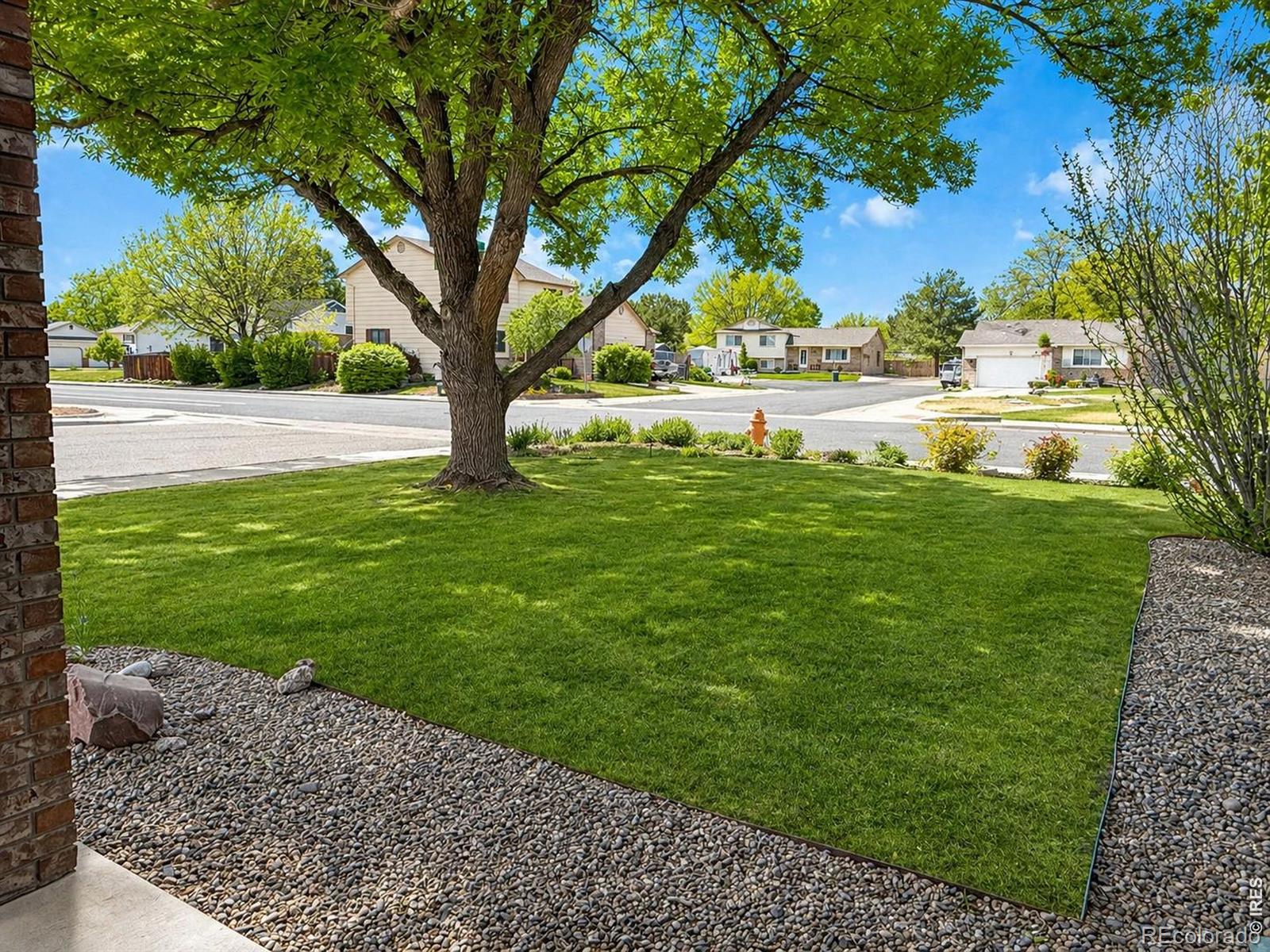 1044 Blue Spruce Drive Loveland CO 80538