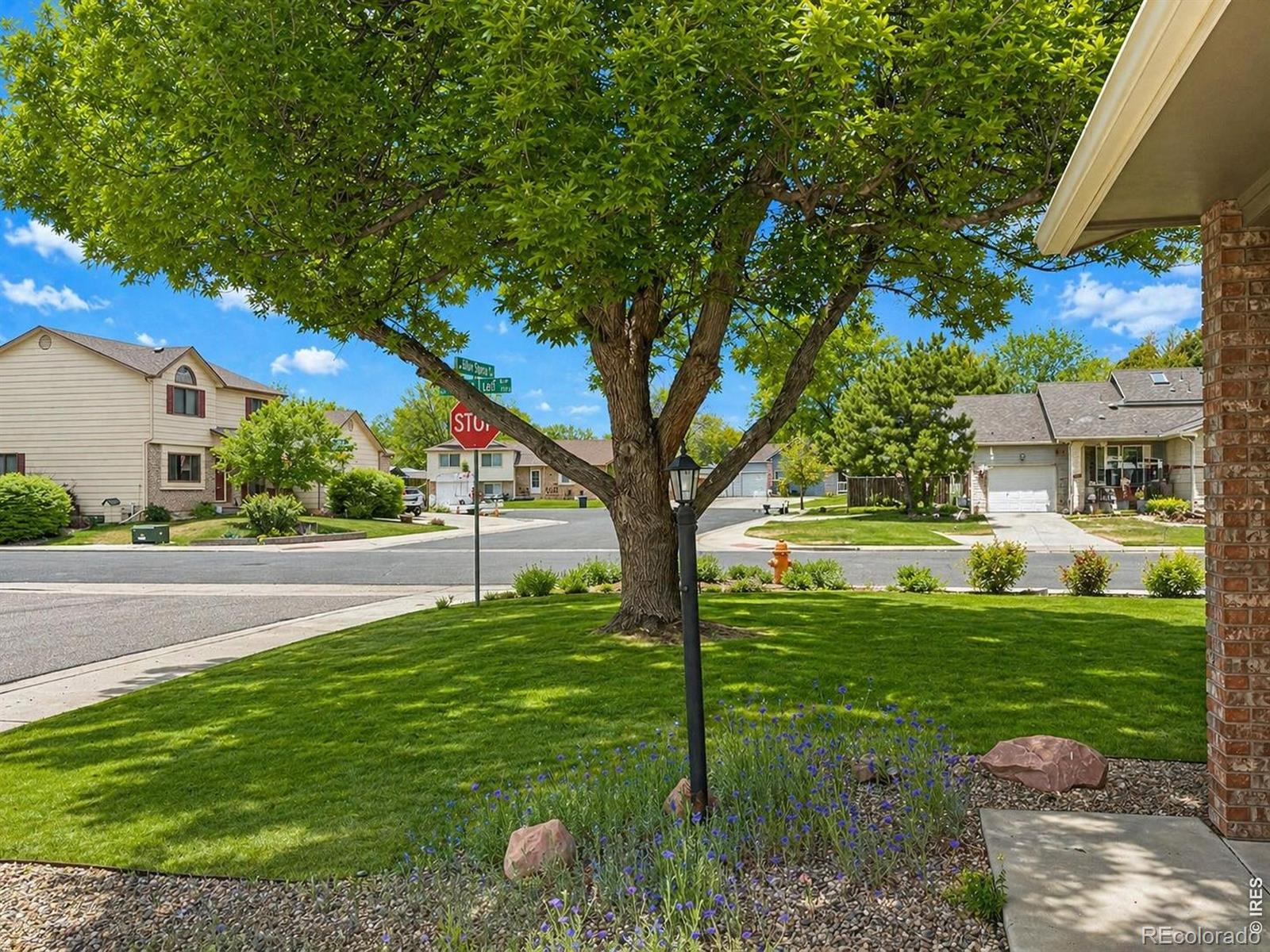 1044 Blue Spruce Drive Loveland CO 80538