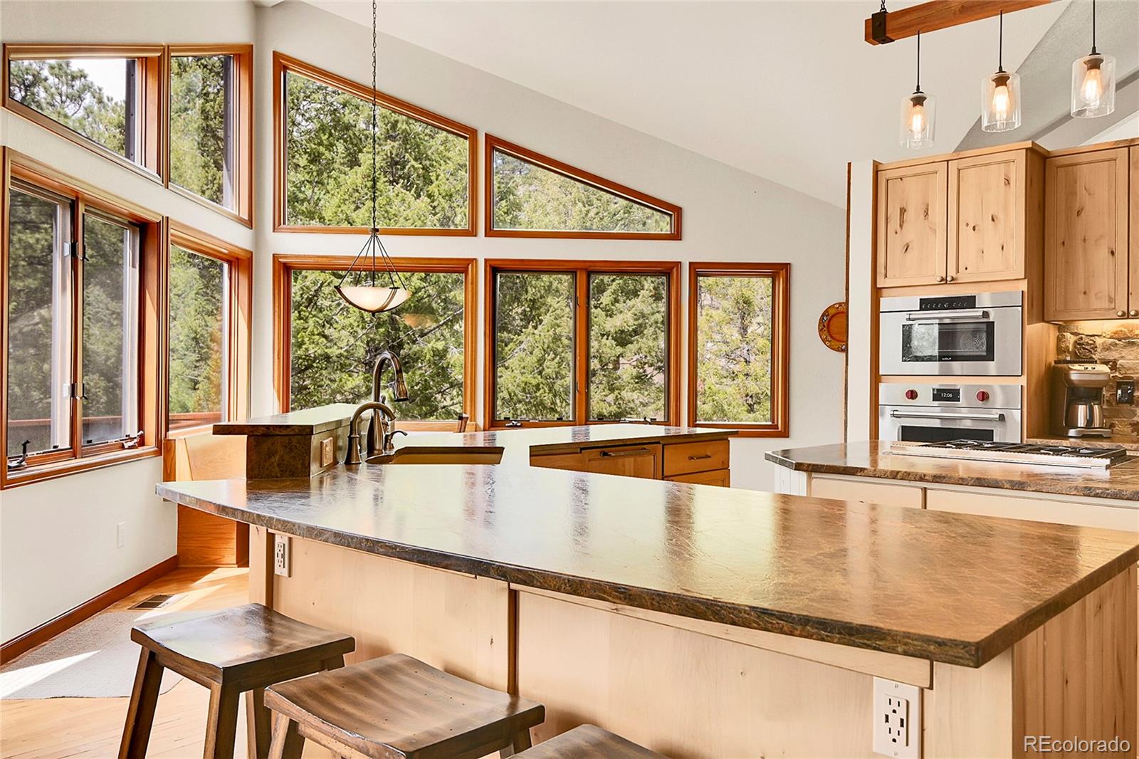 3726 Spring Valley Trail Evergreen CO 80439