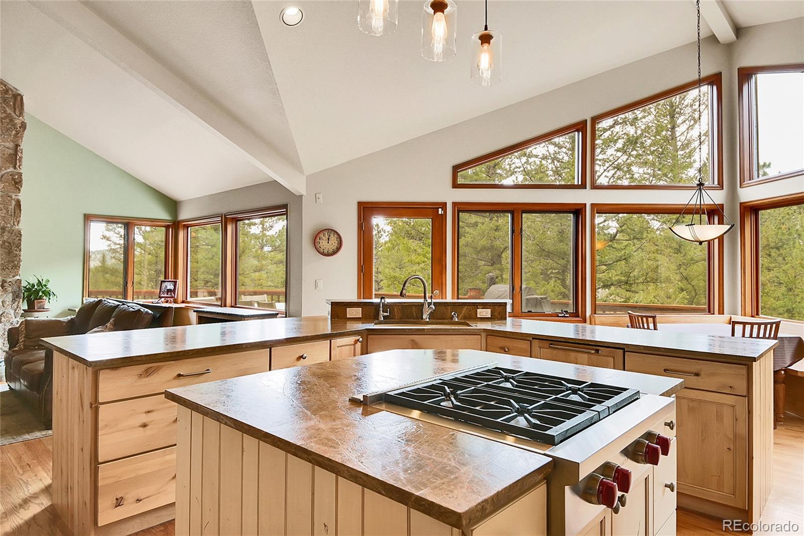 3726 Spring Valley Trail Evergreen CO 80439