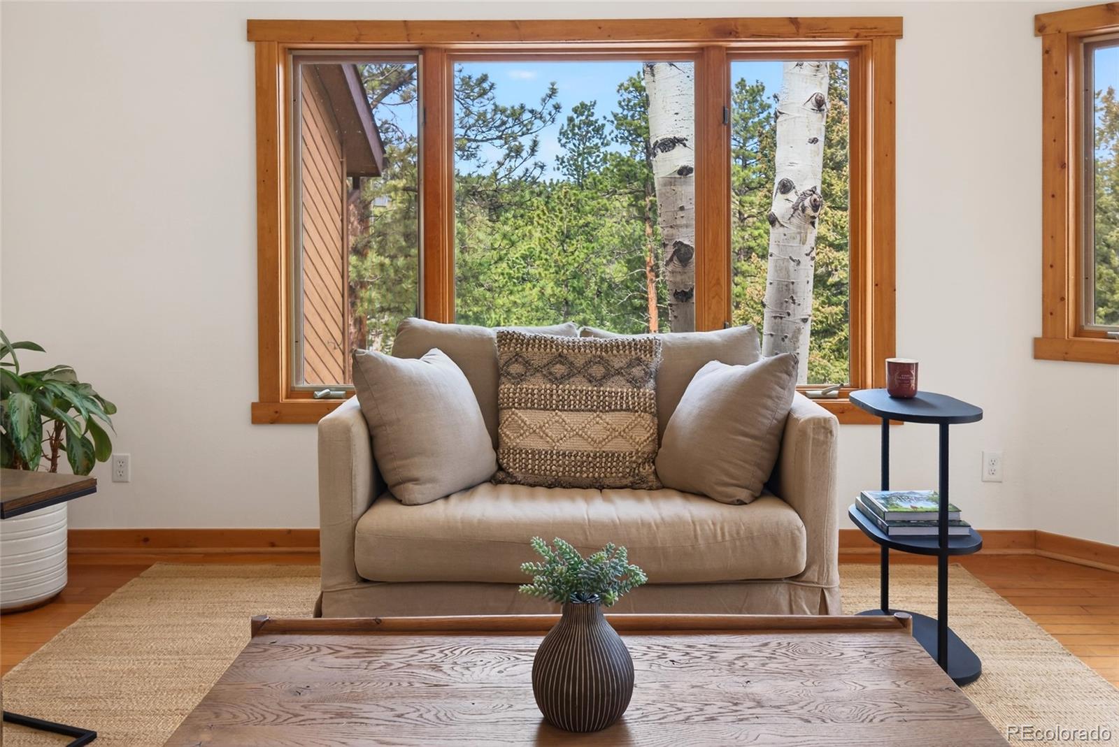 14482 Jubilee Trail Pine CO 80470