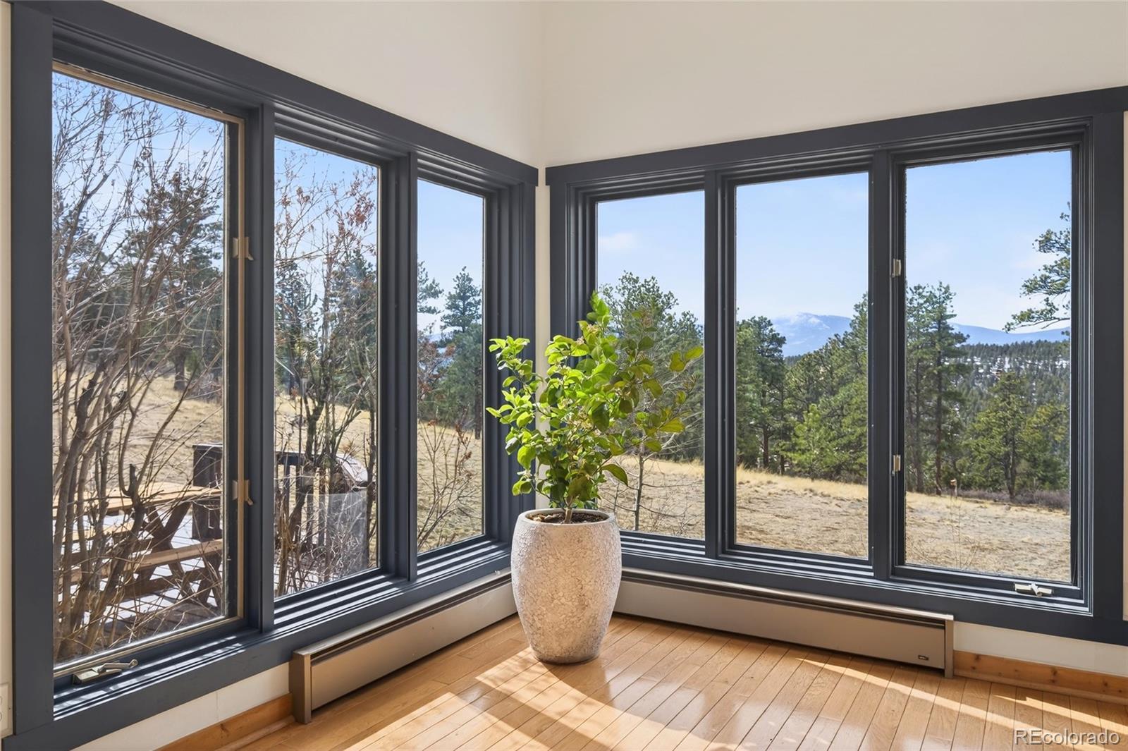 14482 Jubilee Trail Pine CO 80470