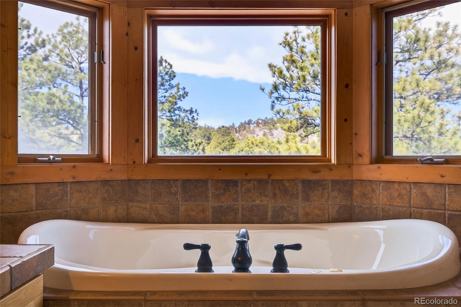 14482 Jubilee Trail Pine CO 80470