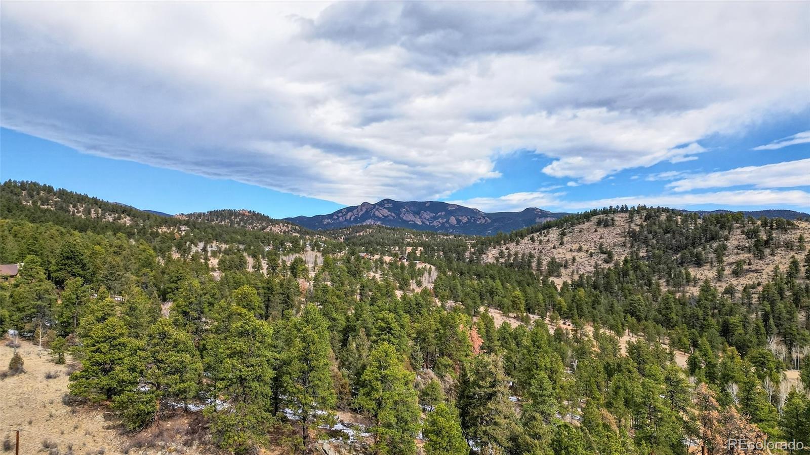 14482 Jubilee Trail Pine CO 80470