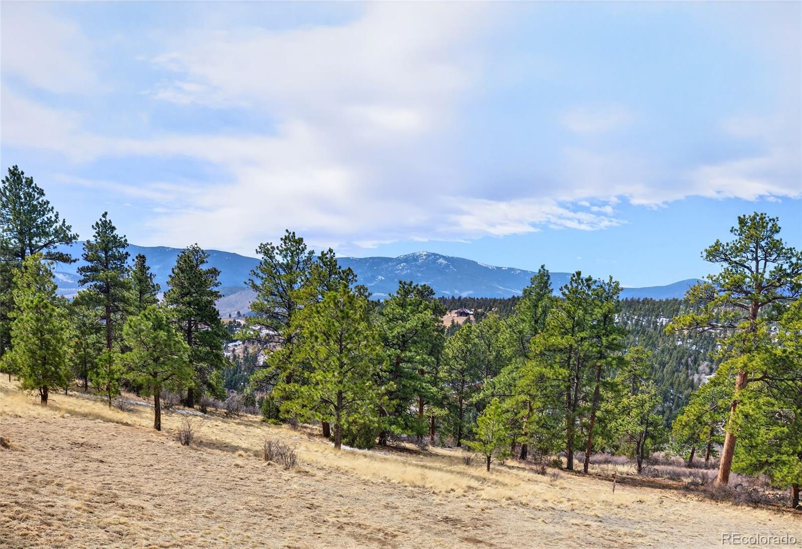 14482 Jubilee Trail Pine CO 80470
