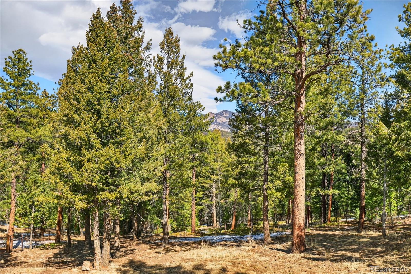 14482 Jubilee Trail Pine CO 80470