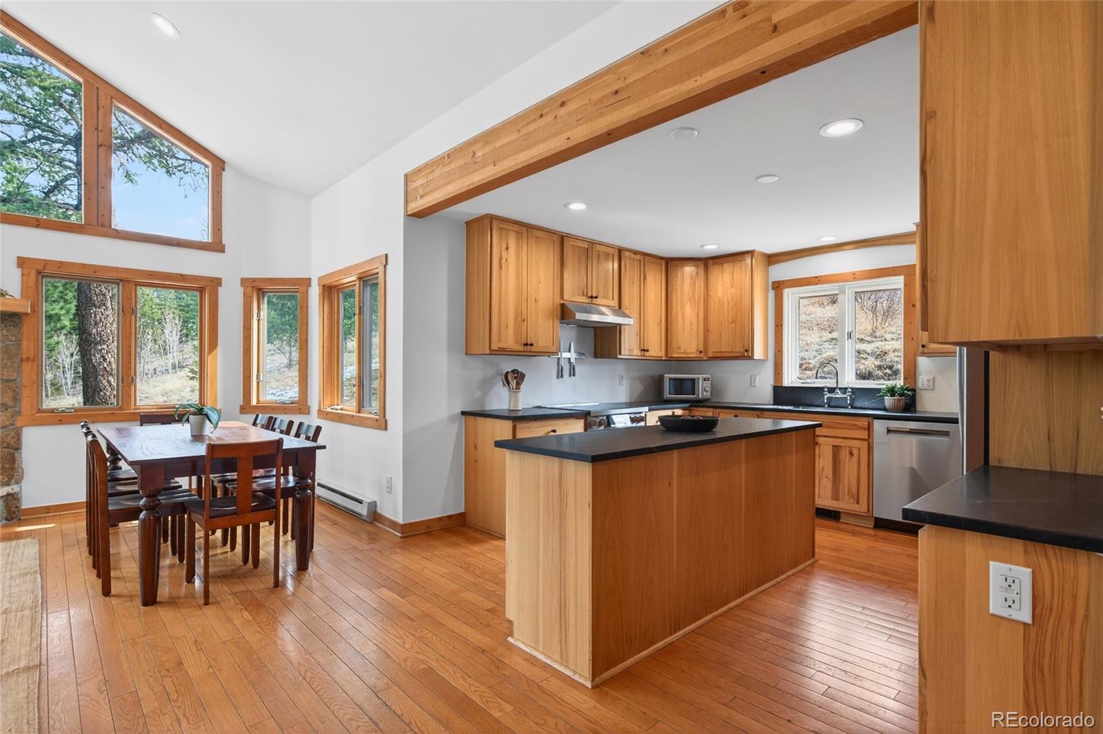 14482 Jubilee Trail Pine CO 80470