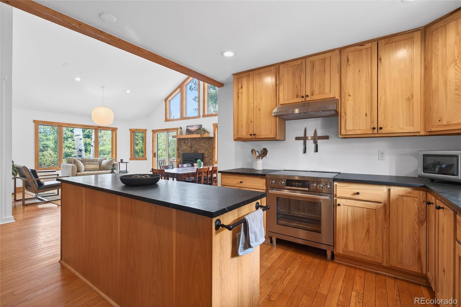 14482 Jubilee Trail Pine CO 80470