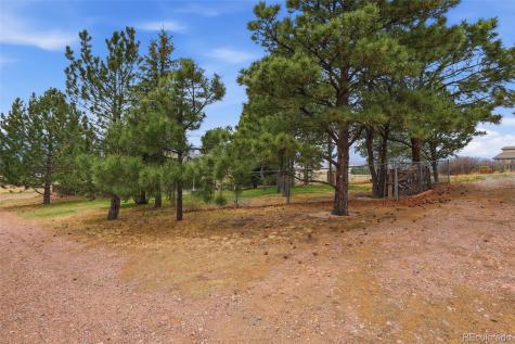 760 Struthers Loop Colorado Springs CO 80921