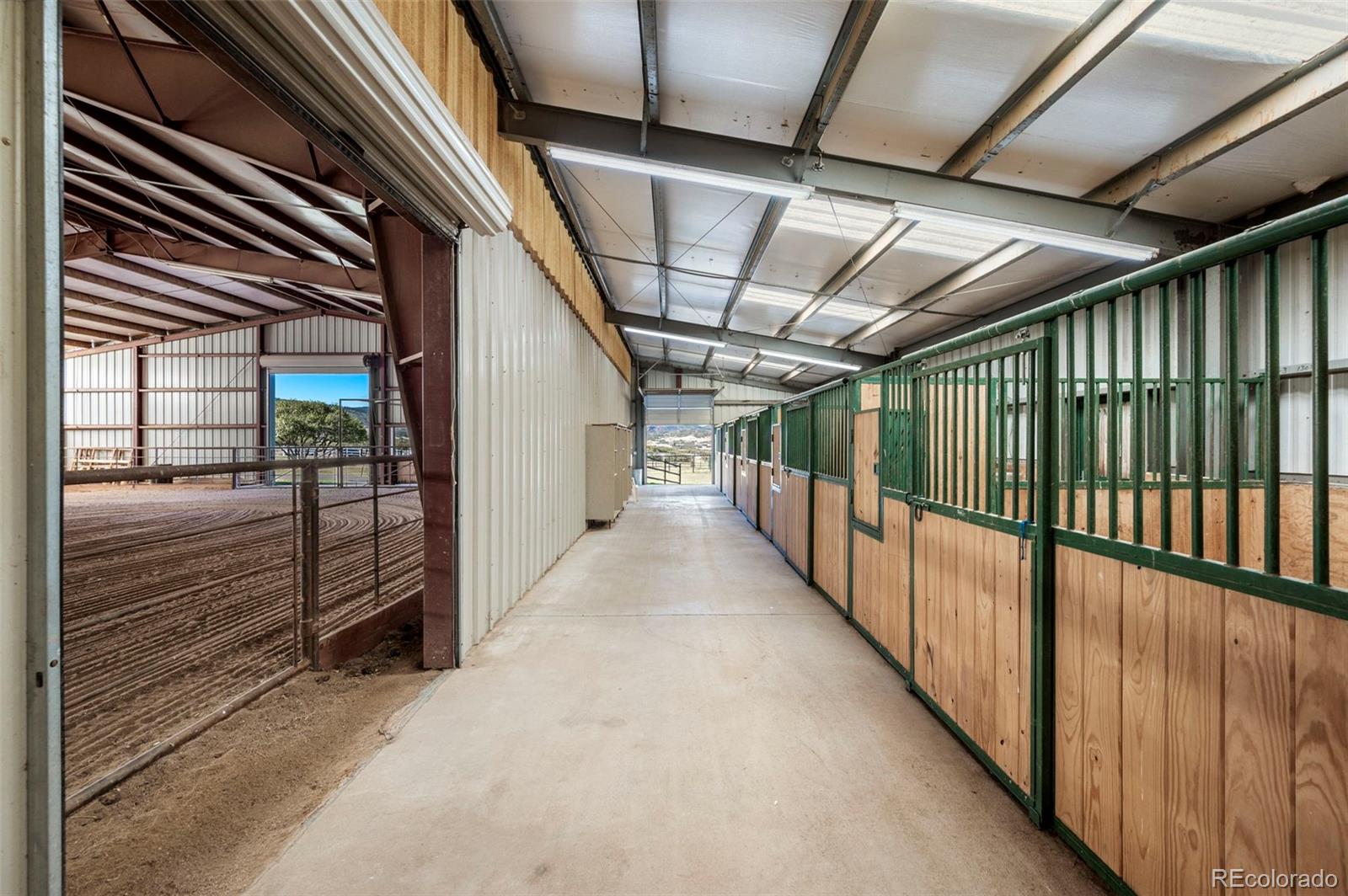 5351 Tall Horse Trail Sedalia CO 80135