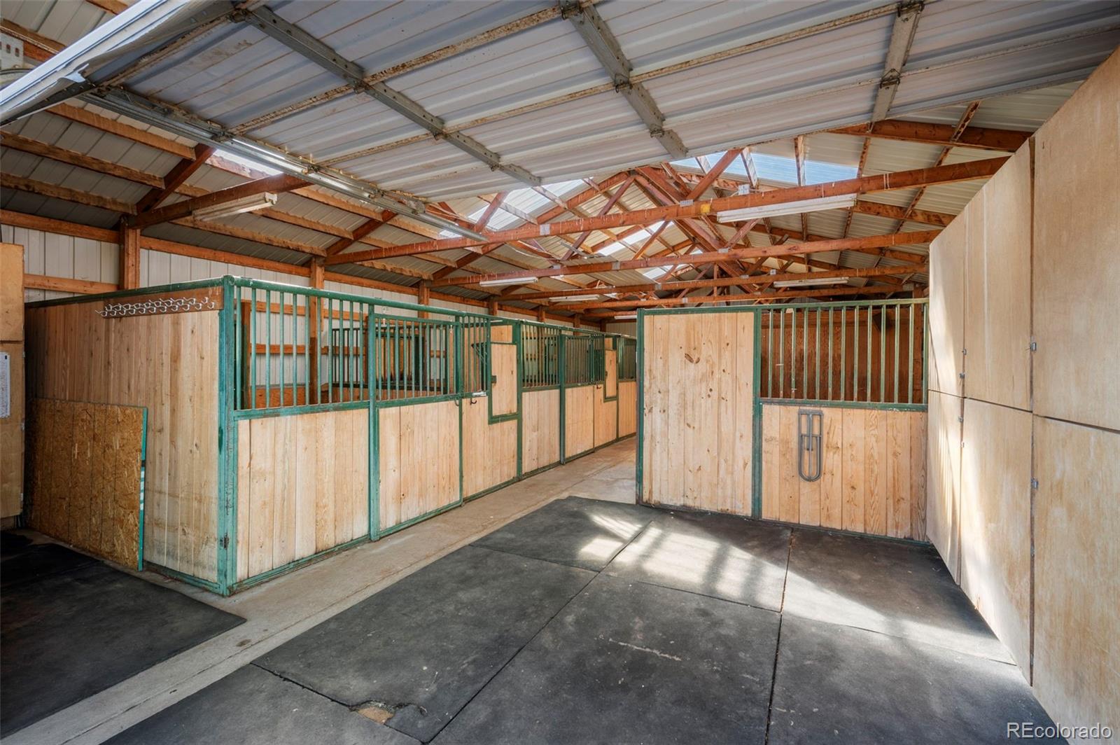 5351 Tall Horse Trail Sedalia CO 80135