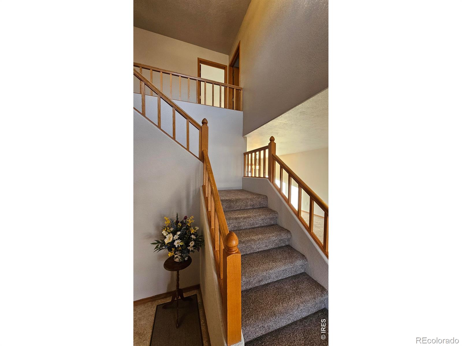 320 Applewood Street Brush CO 80723