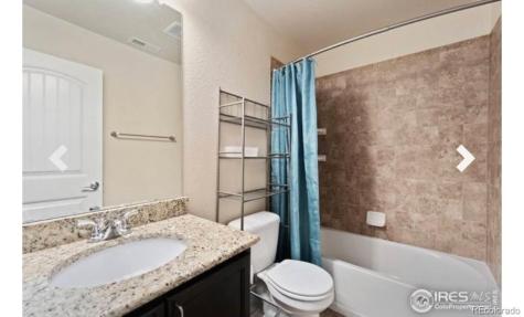 548 Dakota Way Windsor CO 80550