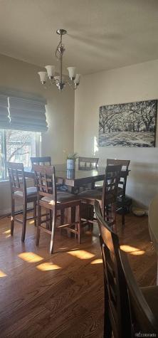 548 Dakota Way Windsor CO 80550