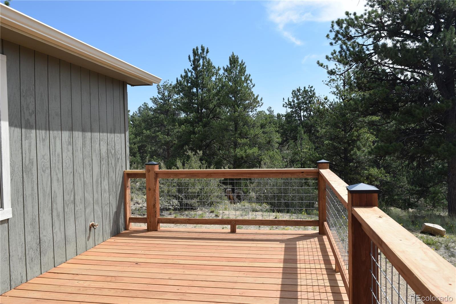1651 Aspen Trail Hartsel CO 80449
