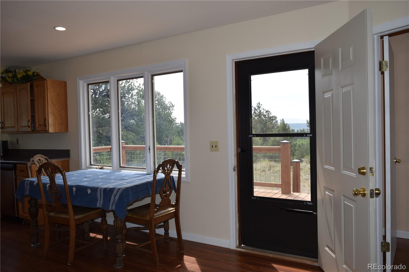 1651 Aspen Trail Hartsel CO 80449