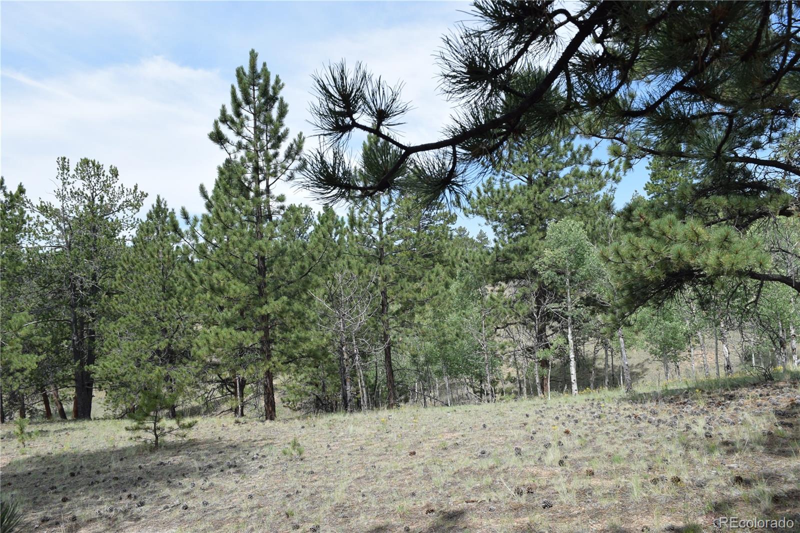1651 Aspen Trail Hartsel CO 80449