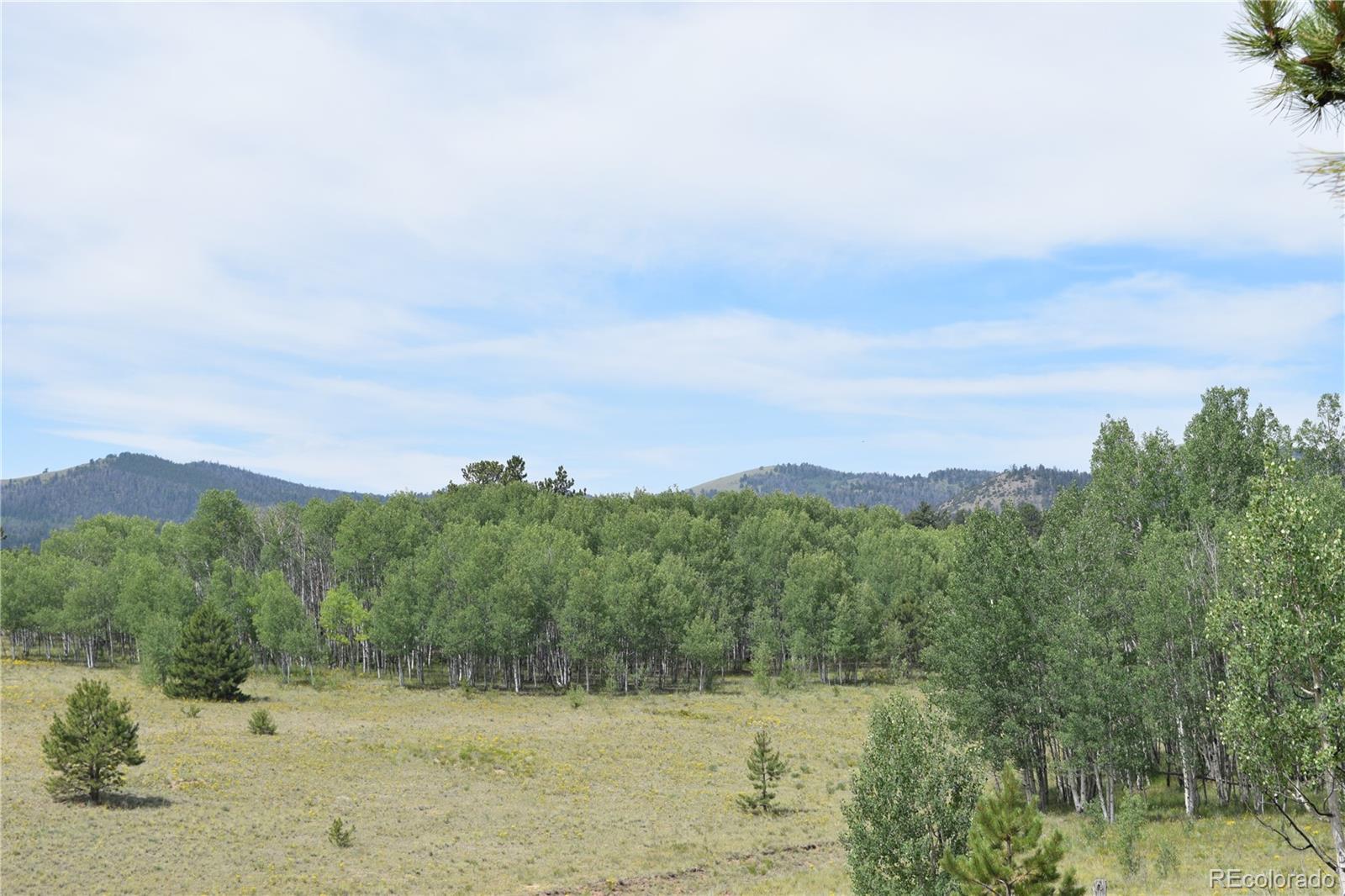 1651 Aspen Trail Hartsel CO 80449