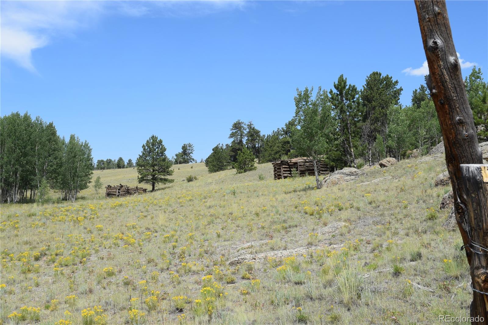 1651 Aspen Trail Hartsel CO 80449
