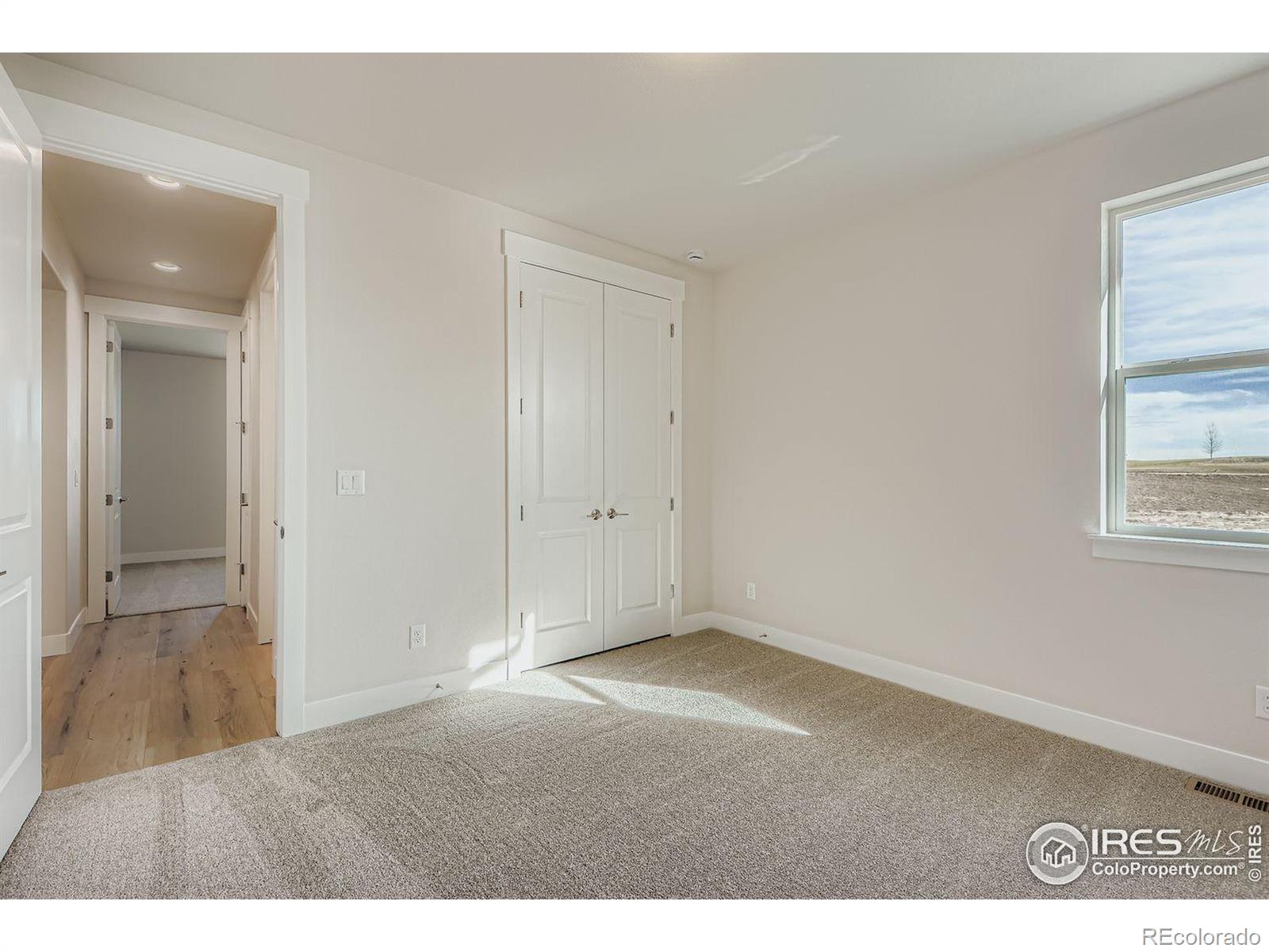 1825 Flourish Drive Windsor CO 80550