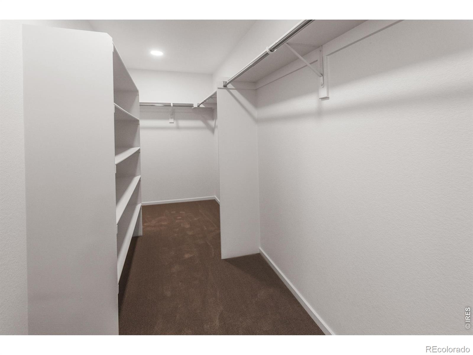 5701 Stone Fly Drive Timnath CO 80547