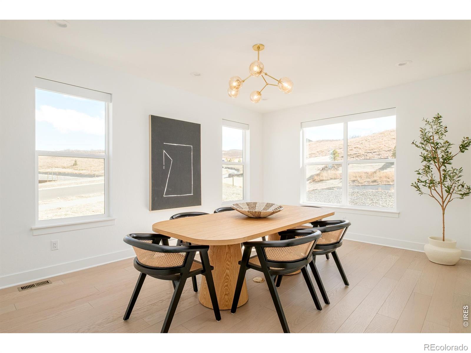 1158 Brotherton Point Castle Rock CO 80104