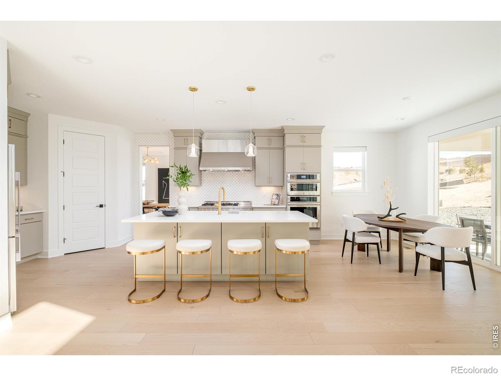 1158 Brotherton Point Castle Rock CO 80104