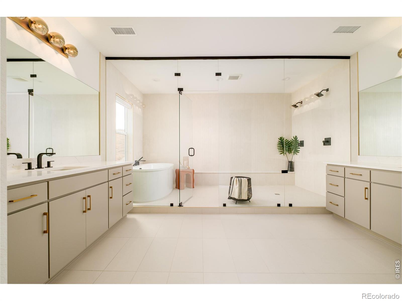 1158 Brotherton Point Castle Rock CO 80104