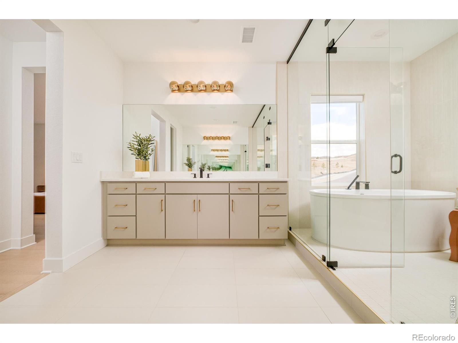 1158 Brotherton Point Castle Rock CO 80104