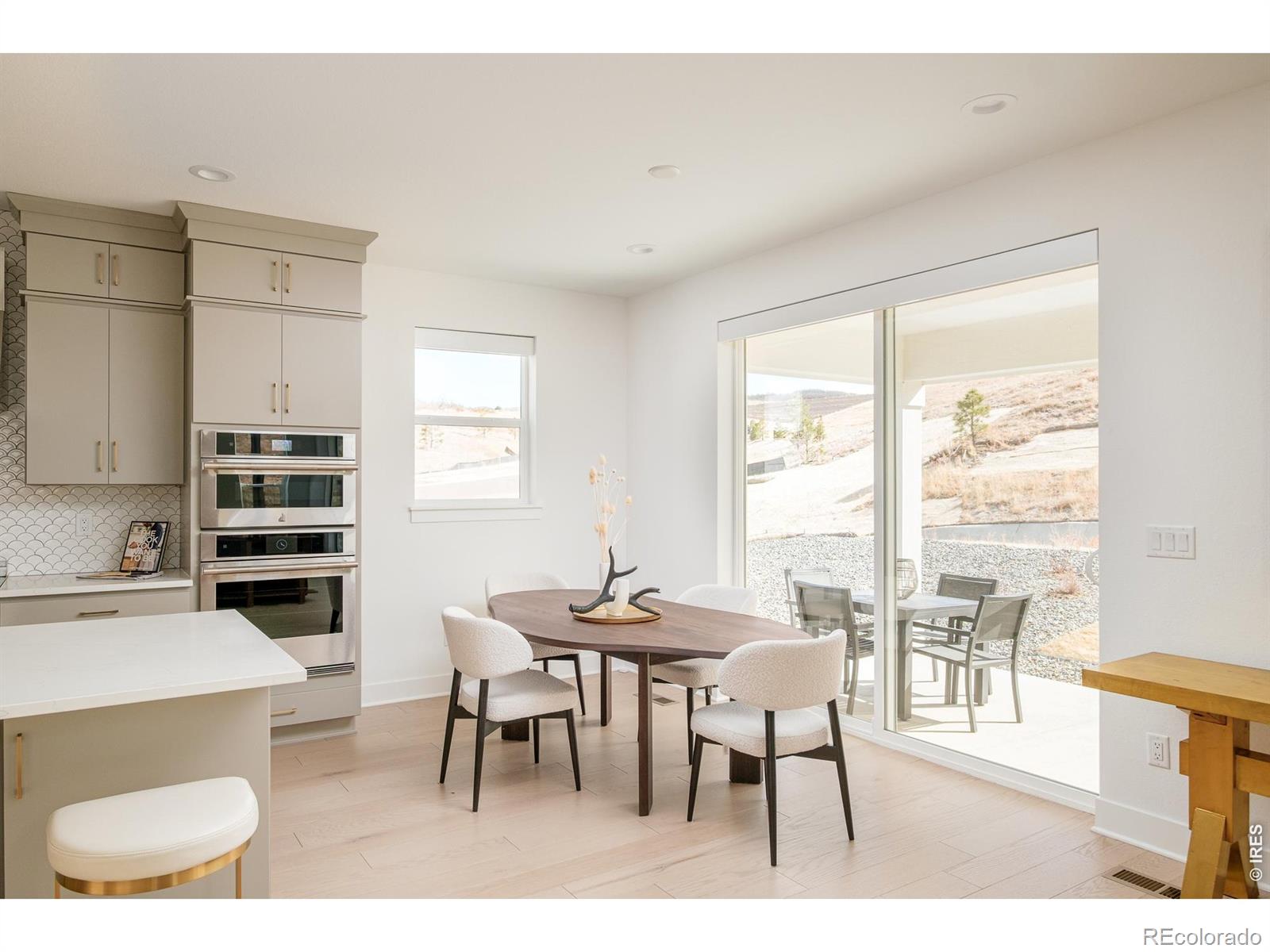 1158 Brotherton Point Castle Rock CO 80104