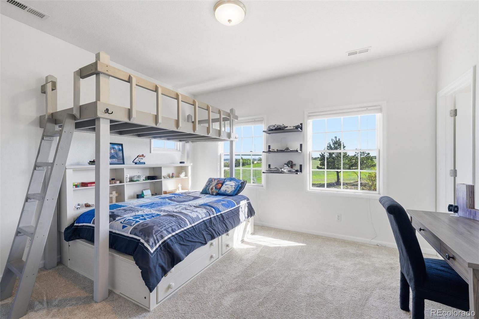3319 Castle Butte Drive Castle Rock CO 80109