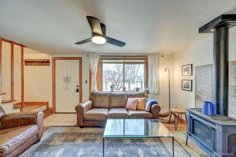 129 Cornell Drive Buena Vista CO 81211