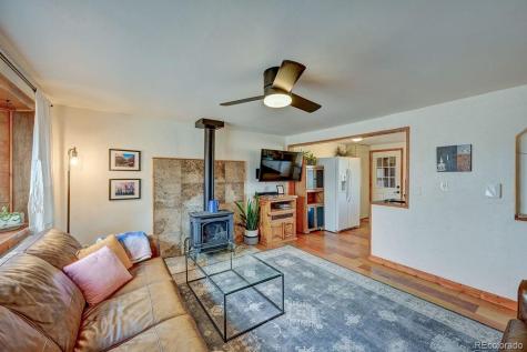 129 Cornell Drive Buena Vista CO 81211