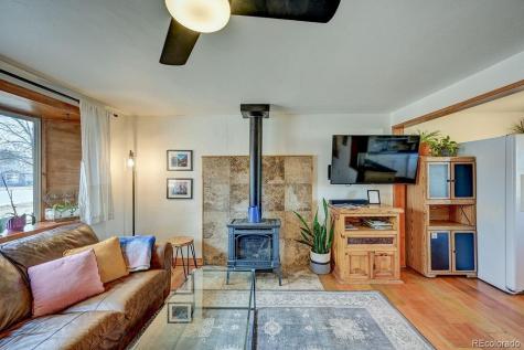 129 Cornell Drive Buena Vista CO 81211