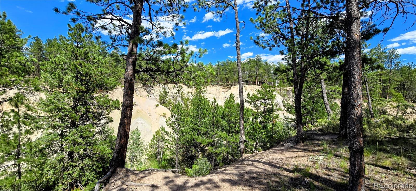 11785 Milam Road Colorado Springs CO 80908