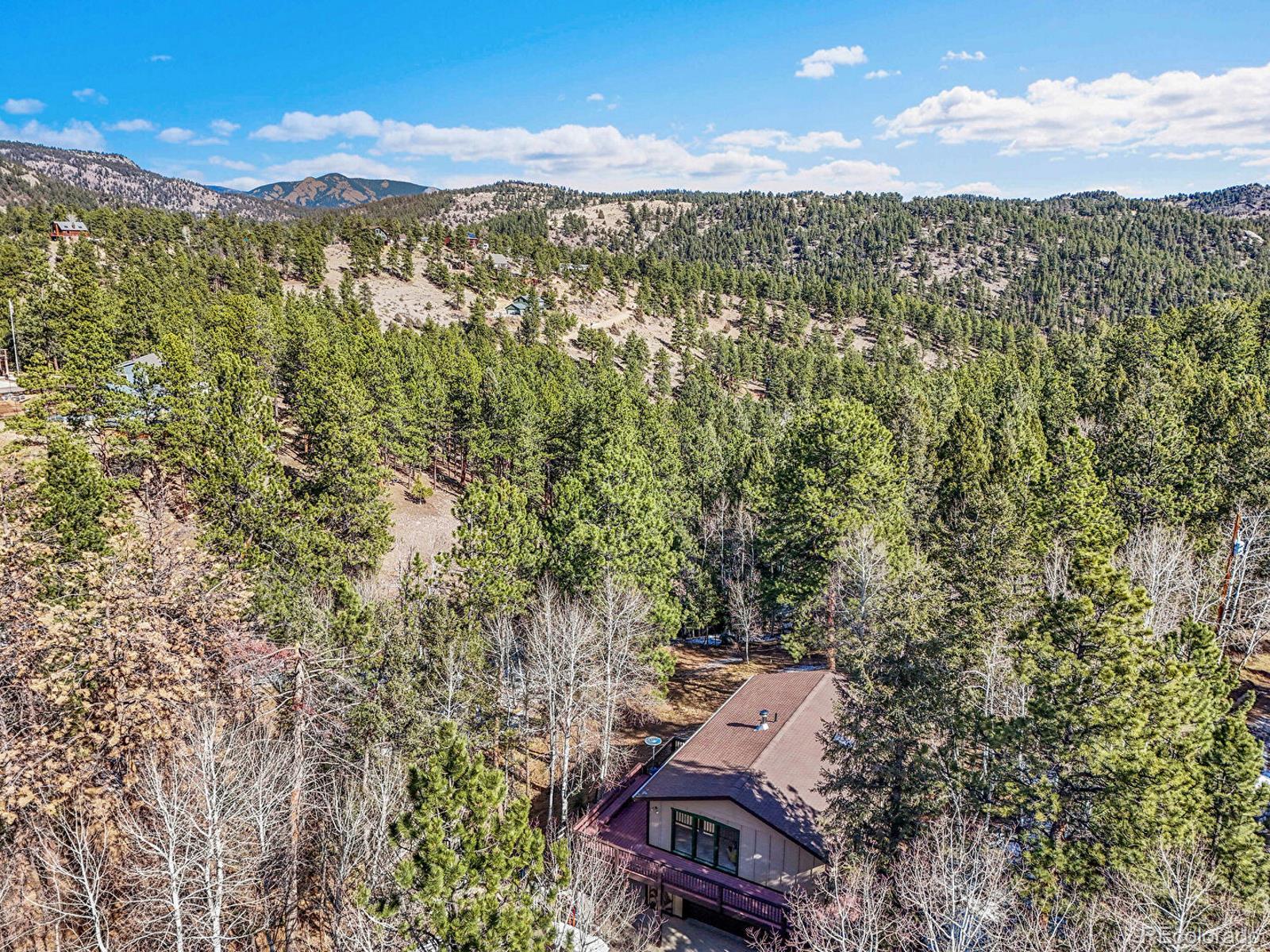 638 Impala Trail Bailey CO 80421