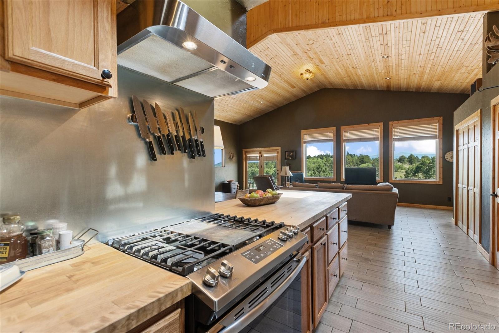 3153 Homestake Place Florissant CO 80816