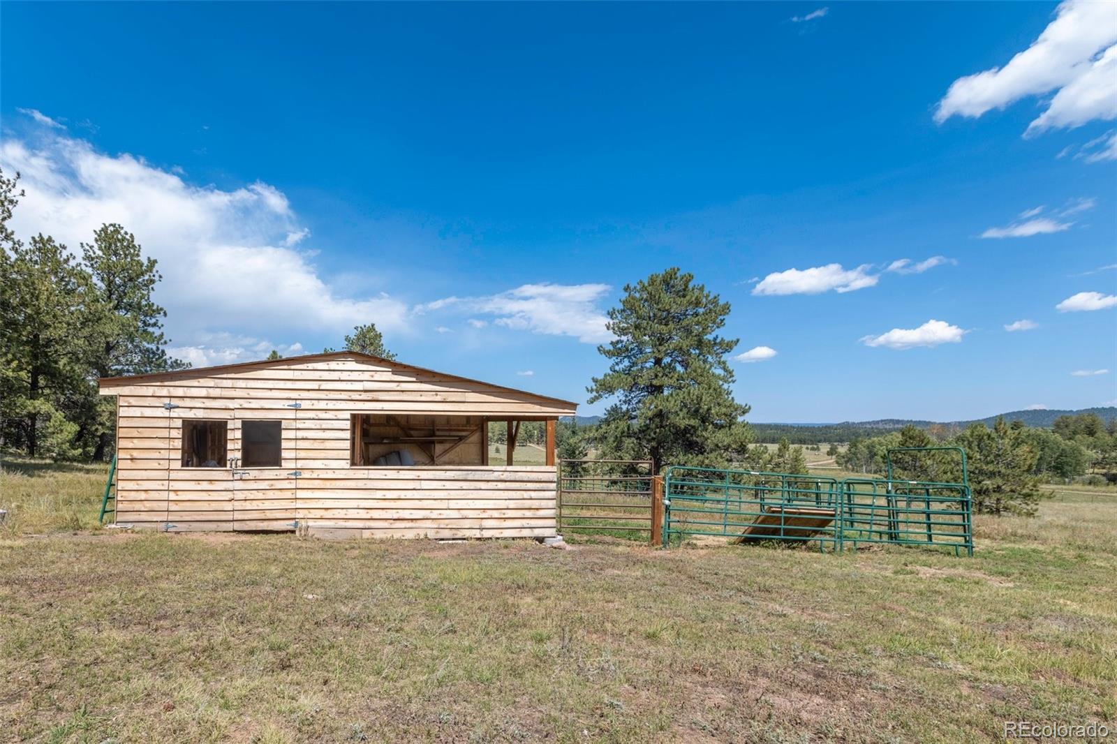 3153 Homestake Place Florissant CO 80816