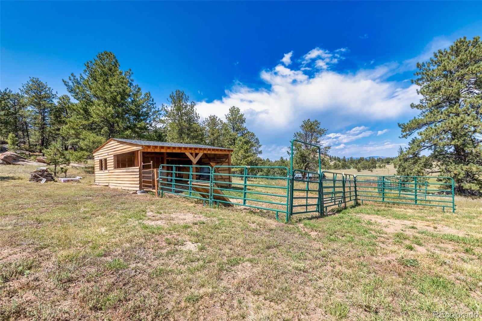 3153 Homestake Place Florissant CO 80816