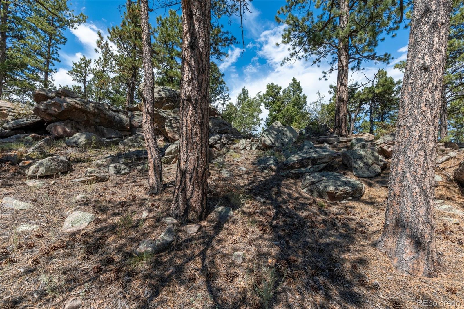 3153 Homestake Place Florissant CO 80816