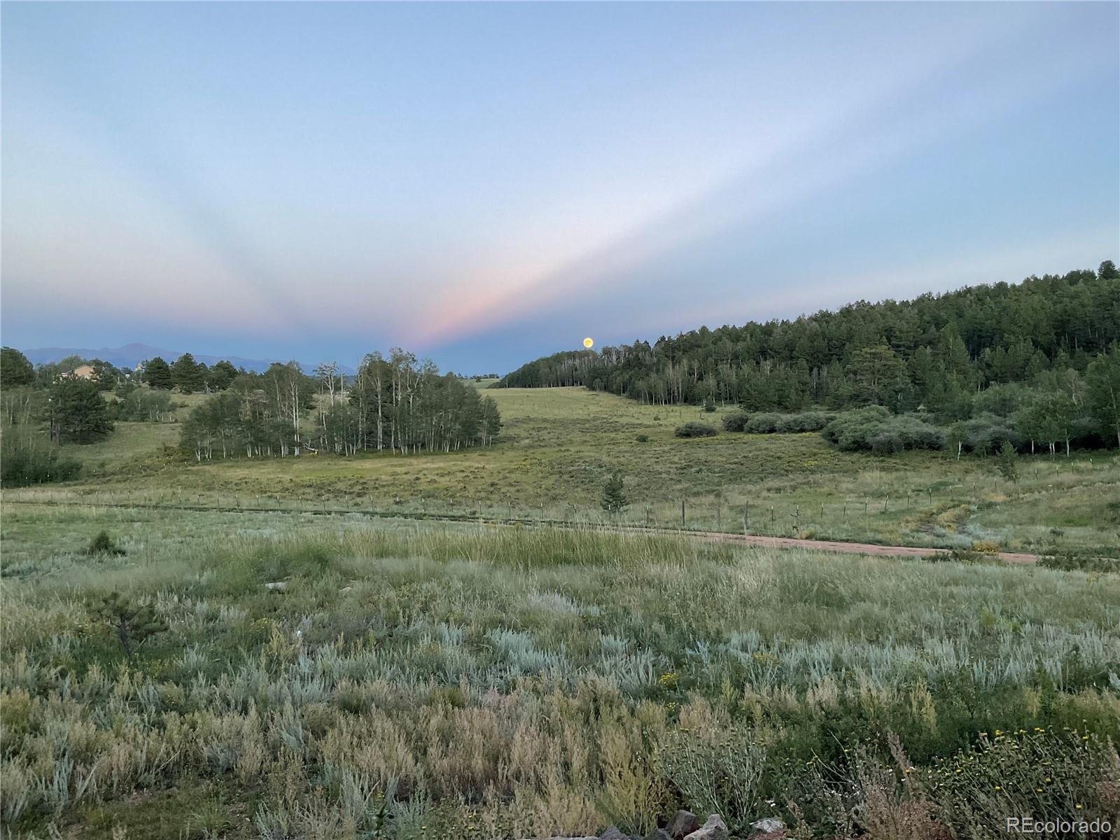 3153 Homestake Place Florissant CO 80816