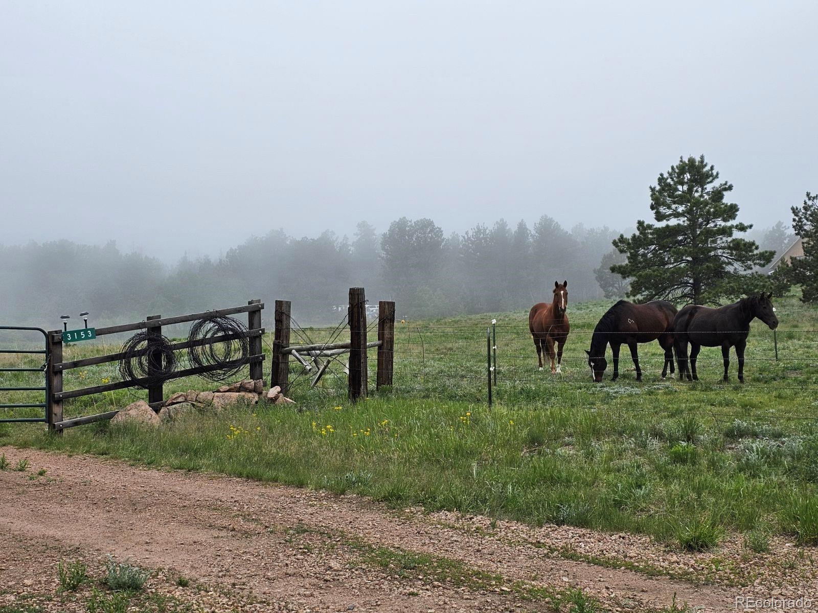 3153 Homestake Place Florissant CO 80816