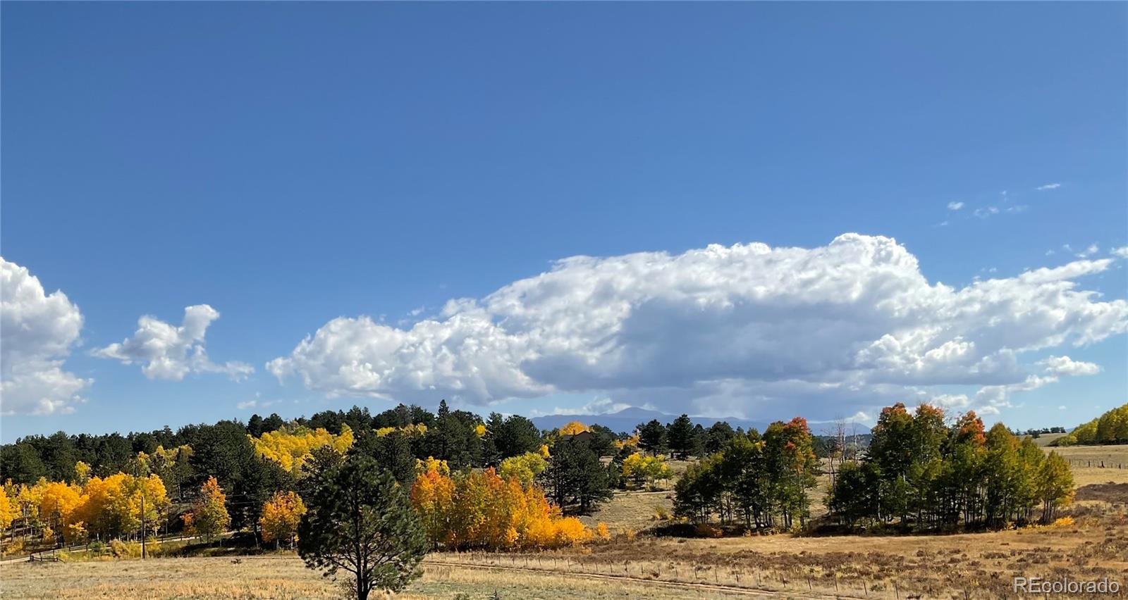 3153 Homestake Place Florissant CO 80816